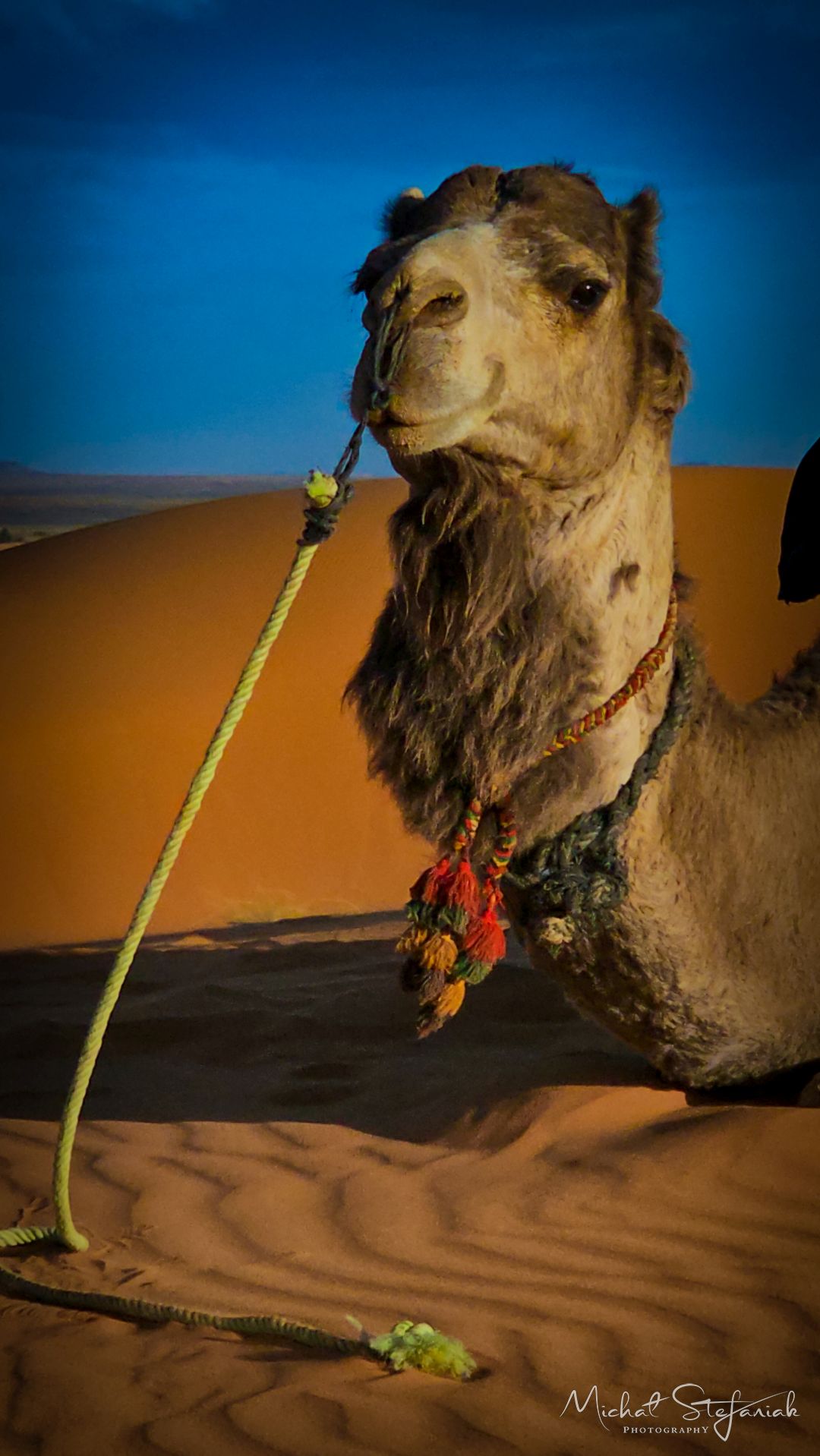 20250218 180127(0) 289