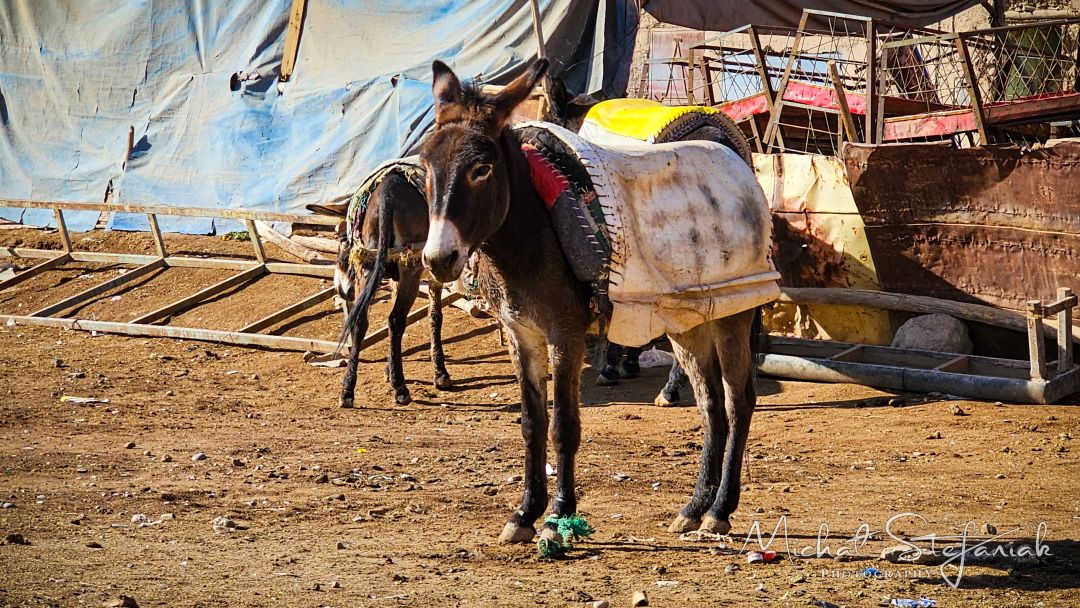 20250220 103046(0) 357