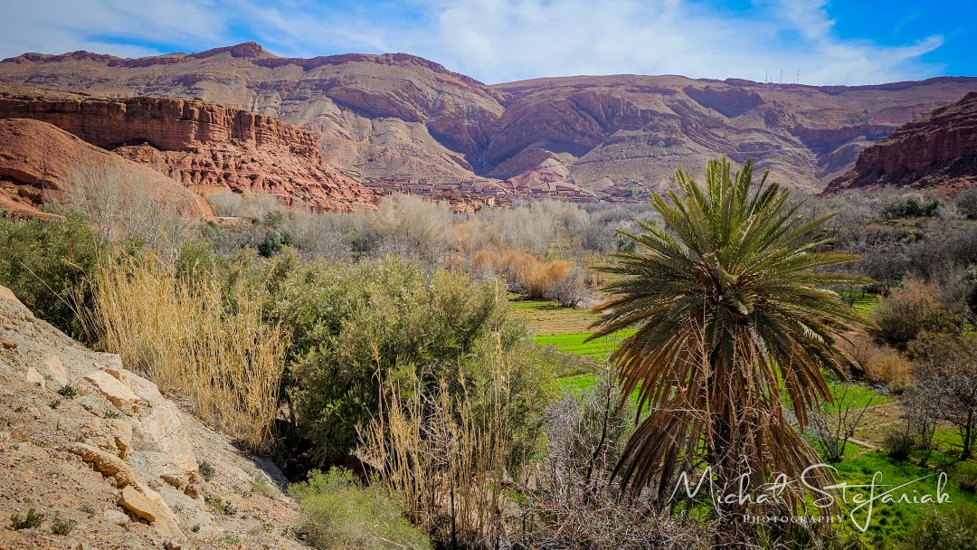 20250221 145612(0) 442