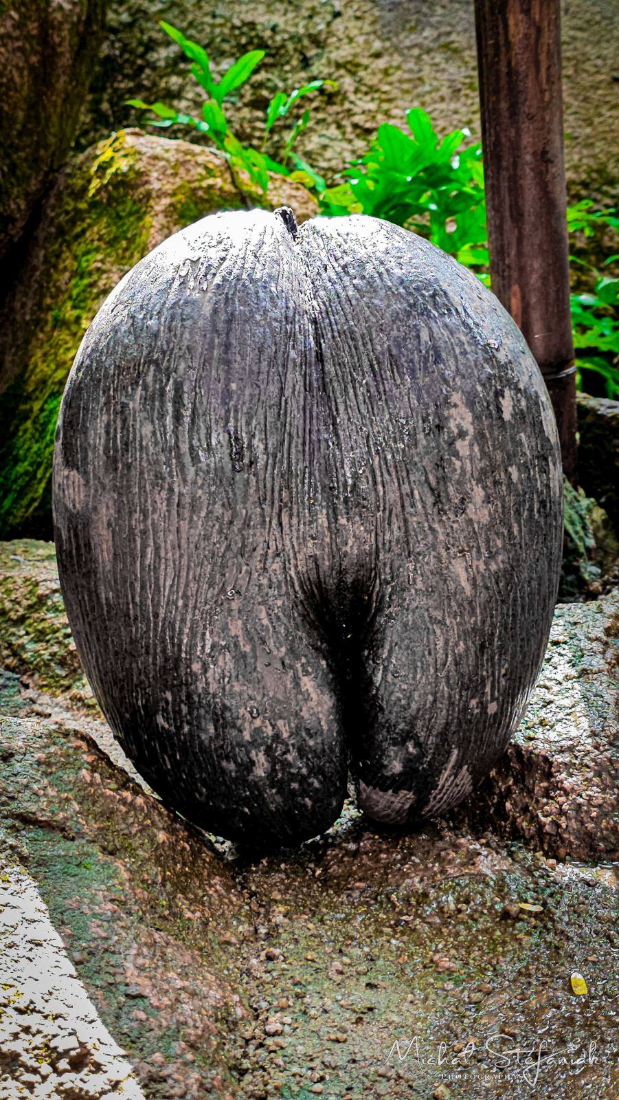 20260312 094122