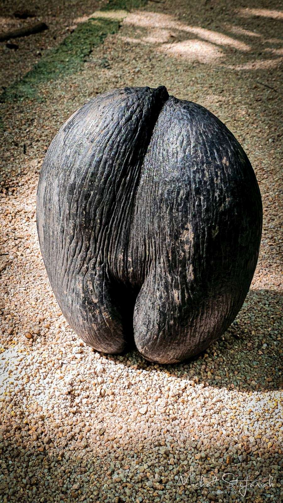 20260312 094248